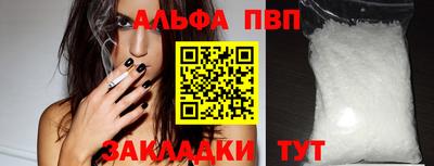 стафф Камышлов