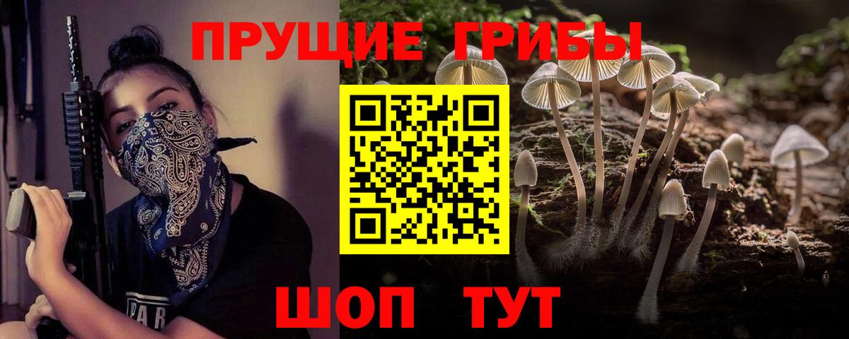 что такое наркотик  Псилоцибиновые грибы MAGIC MUSHROOMS  Вход с VPN  Георгиевск 